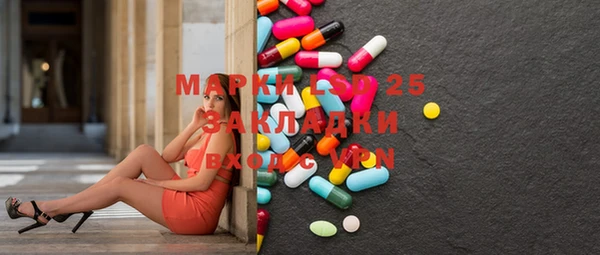 мдпв Верея
