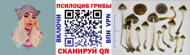 Псилоцибиновые грибы ЛСД  Купить где  Оханск 